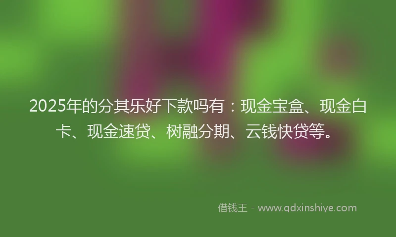 2025年的分其乐好下款吗有：现金宝盒、现金白卡、现金速贷、树融分期、云钱快贷等。