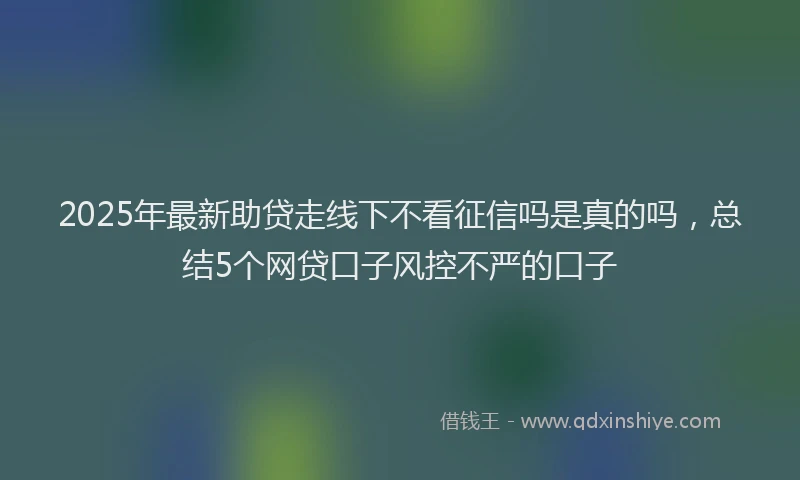2025年最新助贷走线下不看征信吗是真的吗，总结5个网贷口子风控不严的口子
