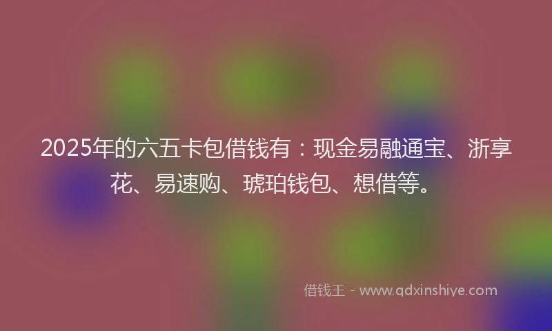 2025年的六五卡包借钱有：现金易融通宝、浙享花、易速购、琥珀钱包、想借等。