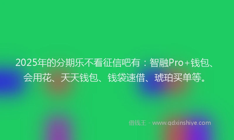 2025年的分期乐不看征信吧有：智融Pro+钱包、会用花、天天钱包、钱袋速借、琥珀买单等。