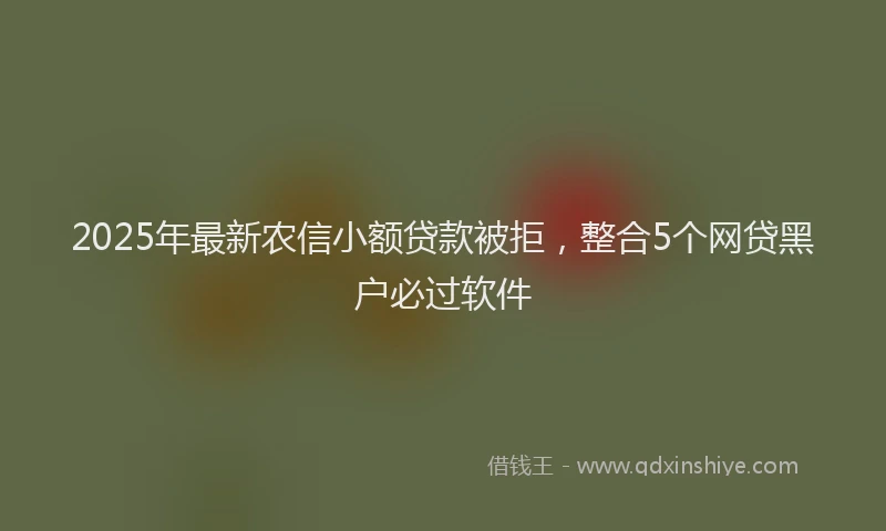 2025年最新农信小额贷款被拒，整合5个网贷黑户必过软件