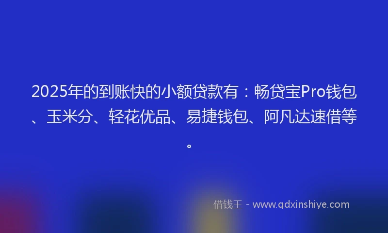 2025年的到账快的小额贷款有：畅贷宝Pro钱包、玉米分、轻花优品、易捷钱包、阿凡达速借等。