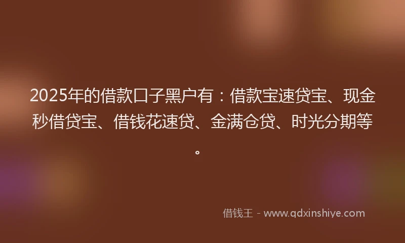 2025年的借款口子黑户有：借款宝速贷宝、现金秒借贷宝、借钱花速贷、金满仓贷、时光分期等。