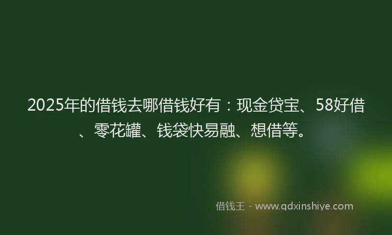 2025年的借钱去哪借钱好有：现金贷宝、58好借、零花罐、钱袋快易融、想借等。