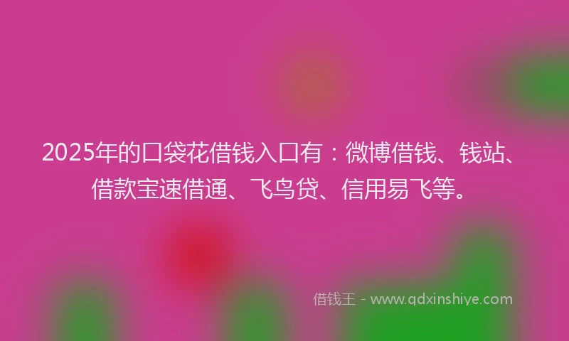 2025年的口袋花借钱入口有:微博借钱、钱站、借款宝速借通、飞鸟贷、信用易飞等。