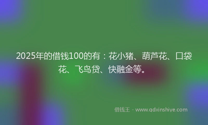 2025年的借钱100的有：花小猪、葫芦花、口袋花、飞鸟贷、快融金等。