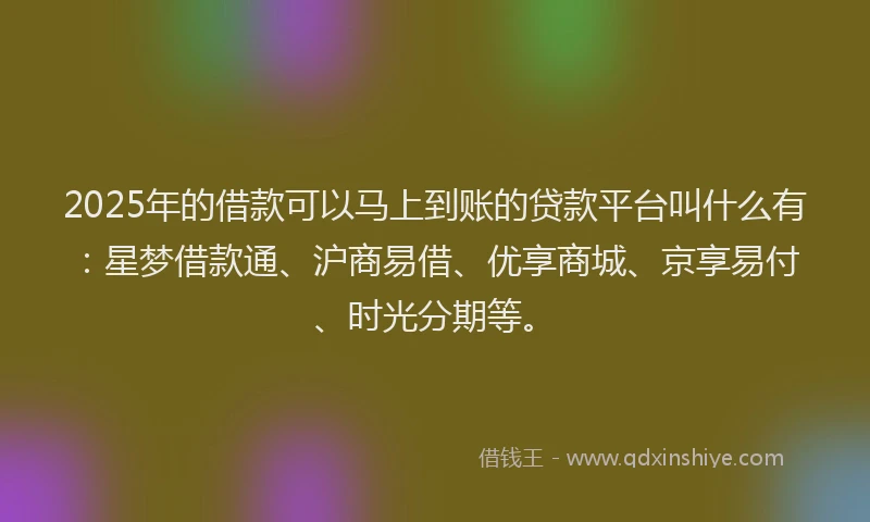 2025年的借款可以马上到账的贷款平台叫什么有：星梦借款通、沪商易借、优享商城、京享易付、时光分期等。