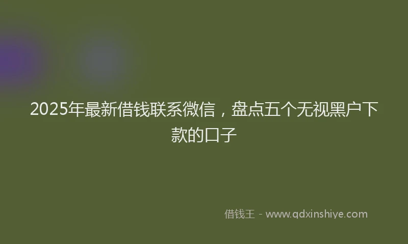 2025年最新借钱联系微信，盘点五个无视黑户下款的口子