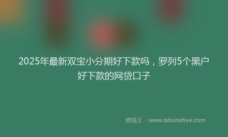 2025年最新双宝小分期好下款吗，罗列5个黑户好下款的网贷口子