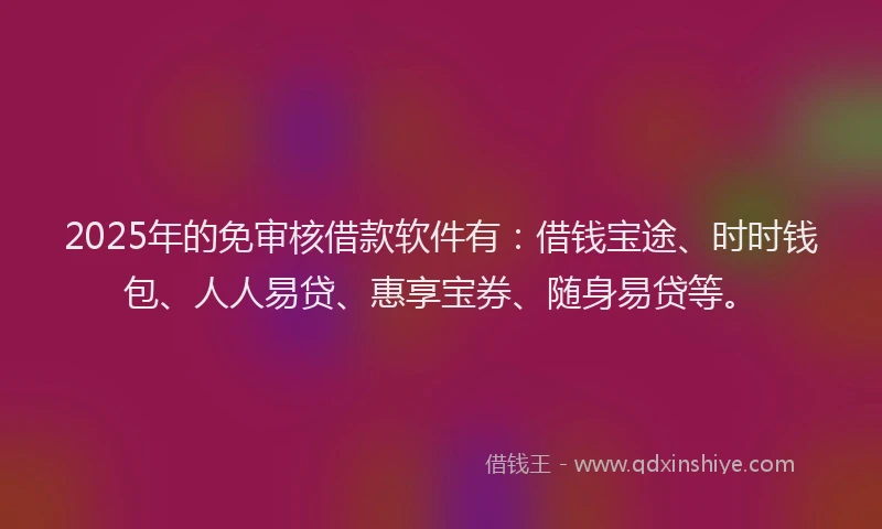 2025年的免审核借款软件有：借钱宝途、时时钱包、人人易贷、惠享宝券、随身易贷等。