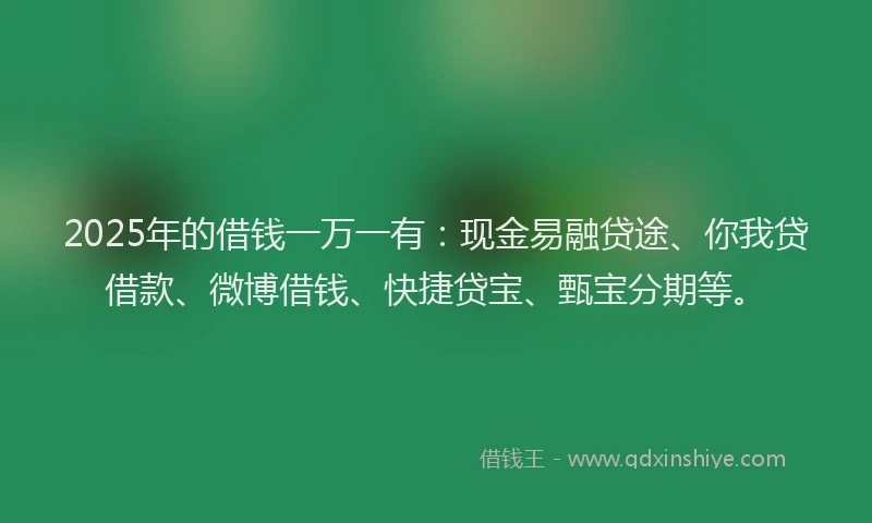 2025年的借钱一万一有：现金易融贷途、你我贷借款、微博借钱、快捷贷宝、甄宝分期等。