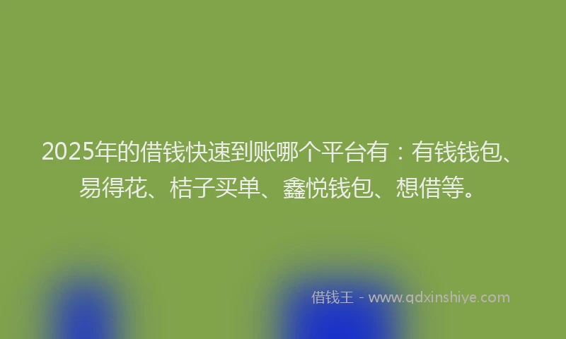 2025年的借钱快速到账哪个平台有：有钱钱包、易得花、桔子买单、鑫悦钱包、想借等。