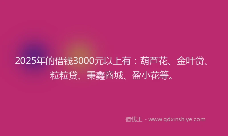 2025年的借钱3000元以上有：葫芦花、金叶贷、粒粒贷、秉鑫商城、盈小花等。