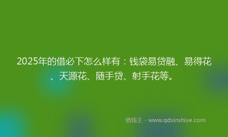 2025年的借必下怎么样有：钱袋易贷融、易得花、天源花、随手贷、射手花等。