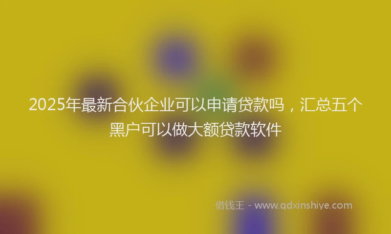 2025年最新合伙企业可以申请贷款吗，汇总五个黑户可以做大额贷款软件