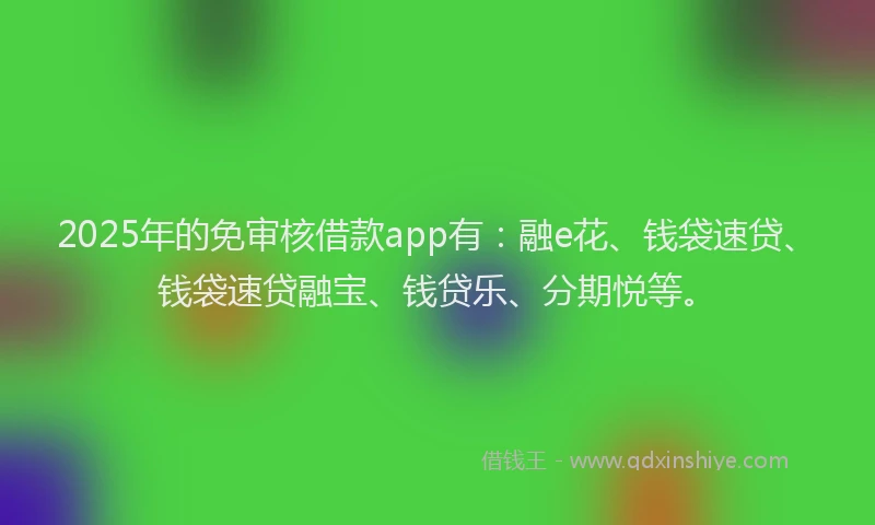 2025年的免审核借款app有：融e花、钱袋速贷、钱袋速贷融宝、钱贷乐、分期悦等。