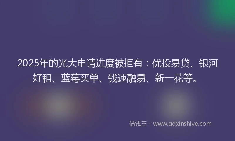 2025年的光大申请进度被拒有：优投易贷、银河好租、蓝莓买单、钱速融易、新一花等。