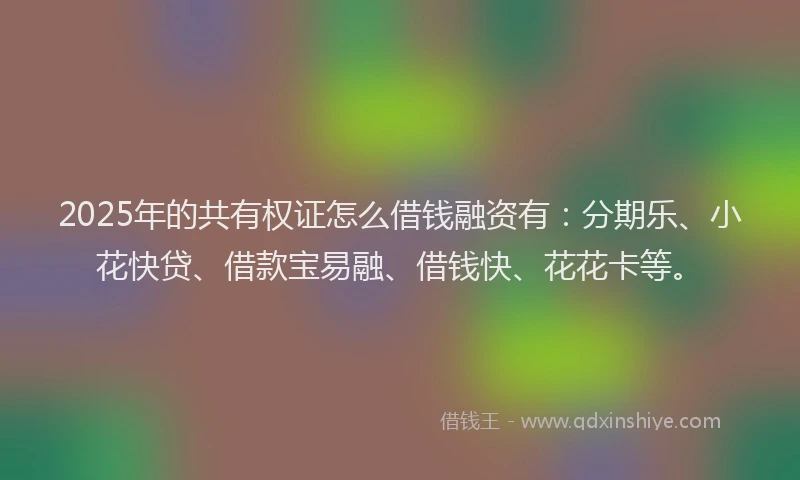 2025年的共有权证怎么借钱融资有：分期乐、小花快贷、借款宝易融、借钱快、花花卡等。