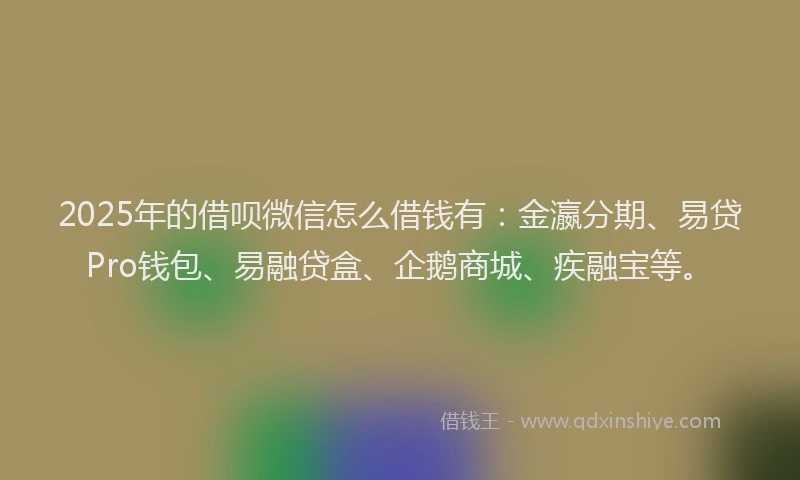 2025年的借呗微信怎么借钱有：金瀛分期、易贷Pro钱包、易融贷盒、企鹅商城、疾融宝等。