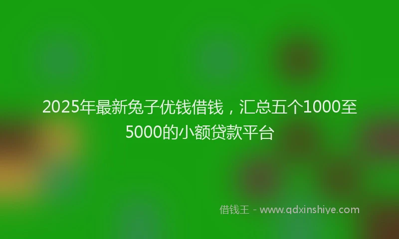 2025年最新兔子优钱借钱，汇总五个1000至5000的小额贷款平台