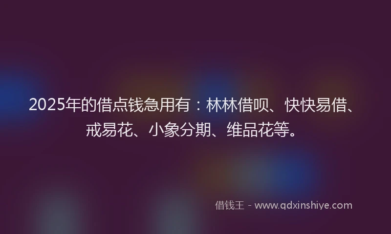 2025年的借点钱急用有：林林借呗、快快易借、戒易花、小象分期、维品花等。