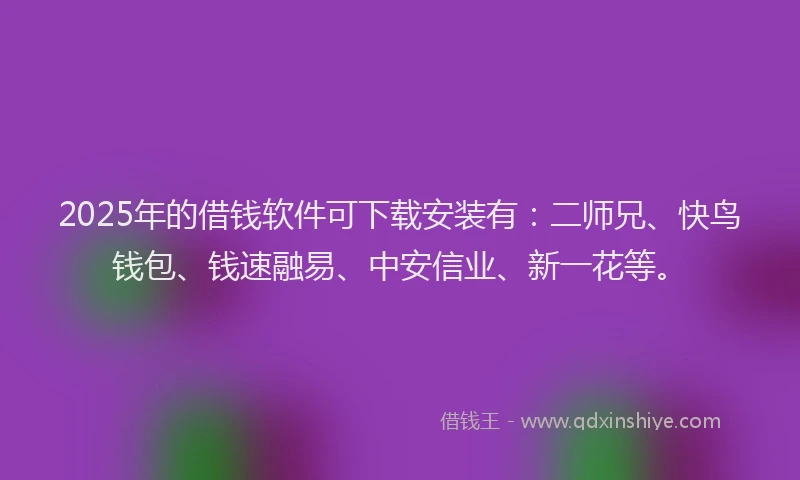 2025年的借钱软件可下载安装有：二师兄、快鸟钱包、钱速融易、中安信业、新一花等。