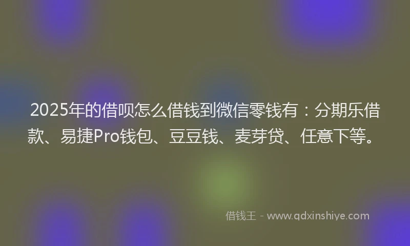 2025年的借呗怎么借钱到微信零钱有：分期乐借款、易捷Pro钱包、豆豆钱、麦芽贷、任意下等。