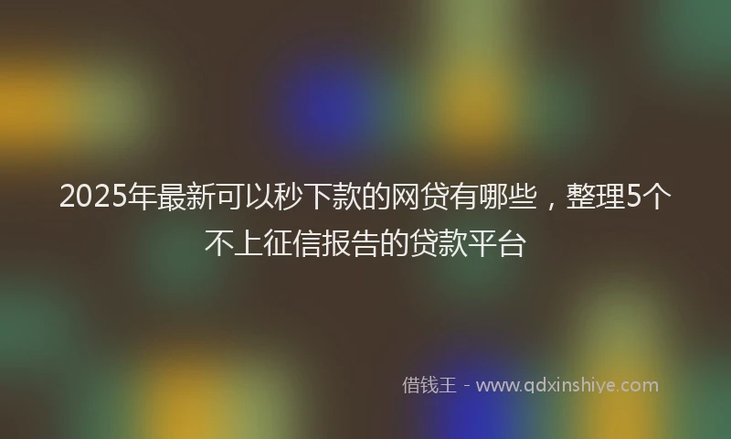 2025年最新可以秒下款的网贷有哪些，整理5个不上征信报告的贷款平台