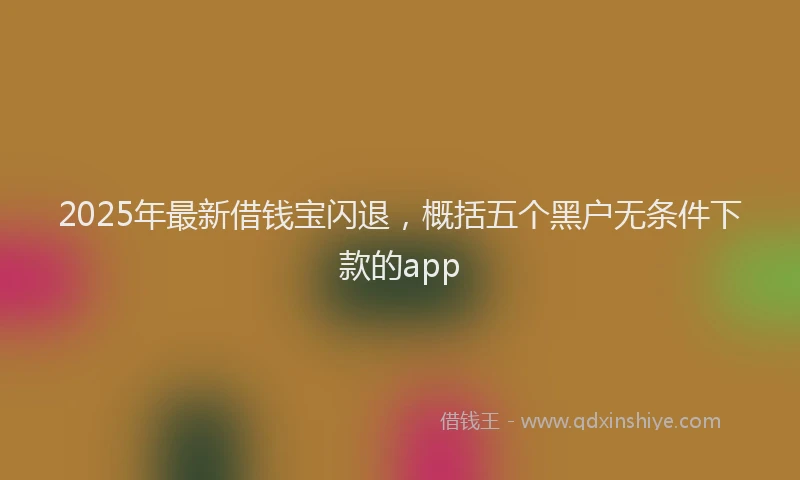 2025年最新借钱宝闪退，概括五个黑户无条件下款的app