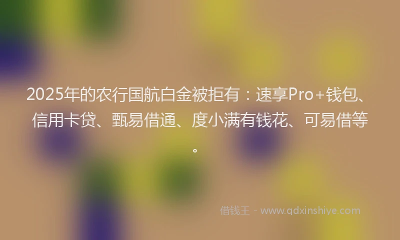 2025年的农行国航白金被拒有：速享Pro+钱包、信用卡贷、甄易借通、度小满有钱花、可易借等。
