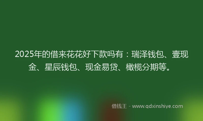 2025年的借来花花好下款吗有：瑞泽钱包、壹现金、星辰钱包、现金易贷、橄榄分期等。