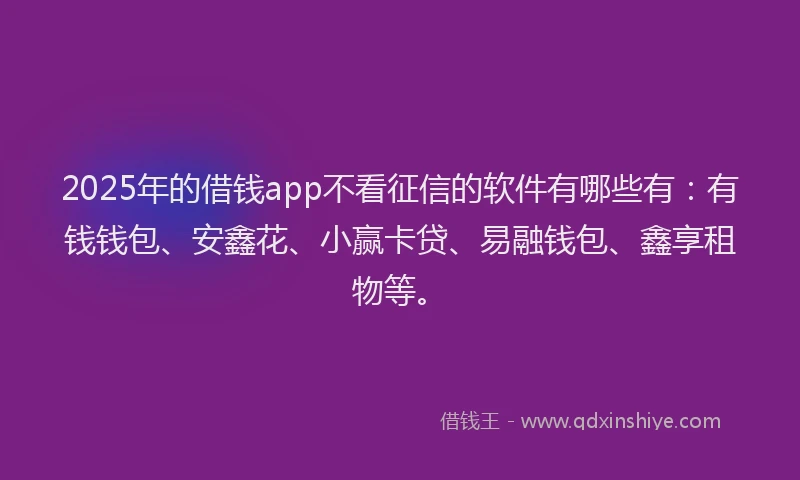 2025年的借钱app不看征信的软件有哪些有：有钱钱包、安鑫花、小赢卡贷、易融钱包、鑫享租物等。