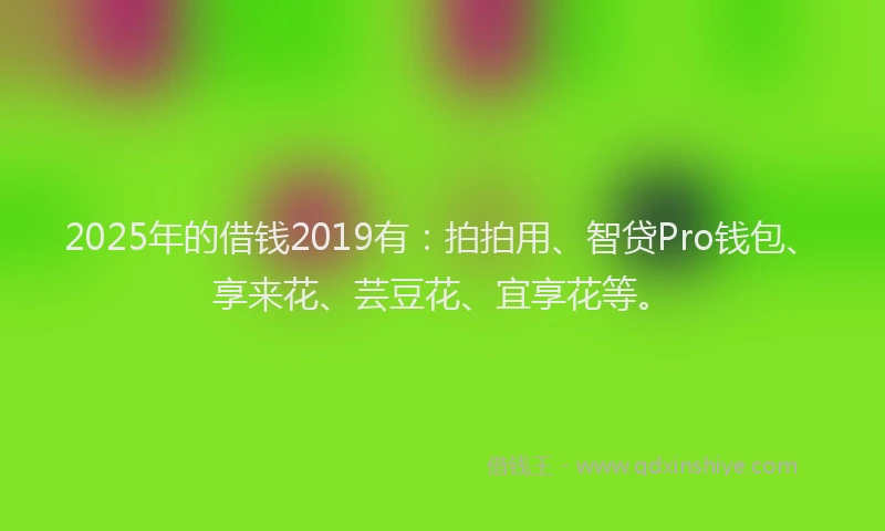 2025年的借钱2019有：拍拍用、智贷Pro钱包、享来花、芸豆花、宜享花等。