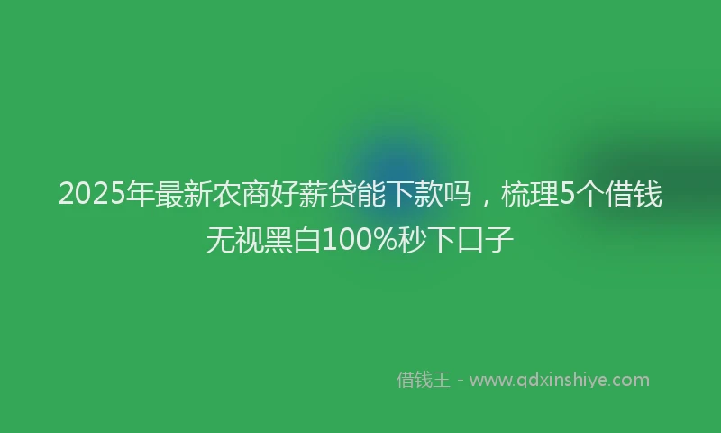 2025年最新农商好薪贷能下款吗，梳理5个借钱无视黑白100%秒下口子