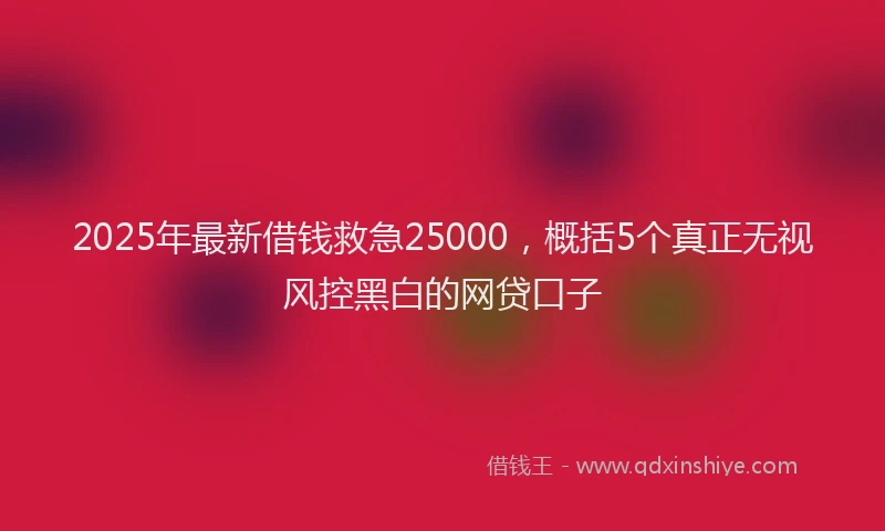 2025年最新借钱救急25000，概括5个真正无视风控黑白的网贷口子