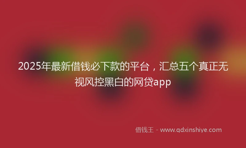 2025年最新借钱必下款的平台，汇总五个真正无视风控黑白的网贷app