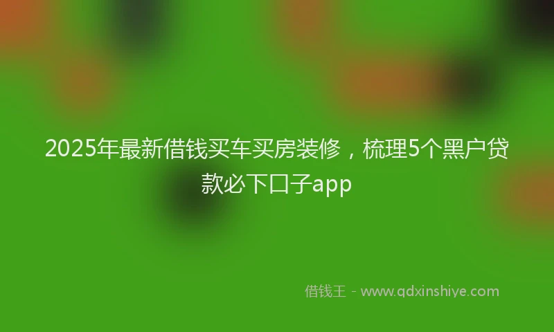 2025年最新借钱买车买房装修，梳理5个黑户贷款必下口子app