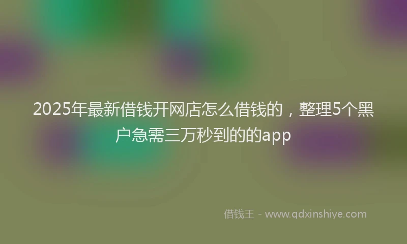 2025年最新借钱开网店怎么借钱的，整理5个黑户急需三万秒到的的app