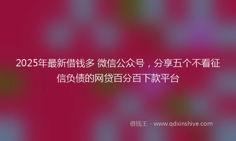 2025年最新借钱多 微信公众号，分享五个不看征信负债的网贷百分百下款平台