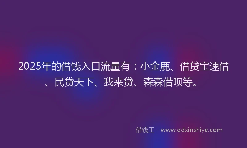 2025年的借钱入口流量有：小金鹿、借贷宝速借、民贷天下、我来贷、森森借呗等。
