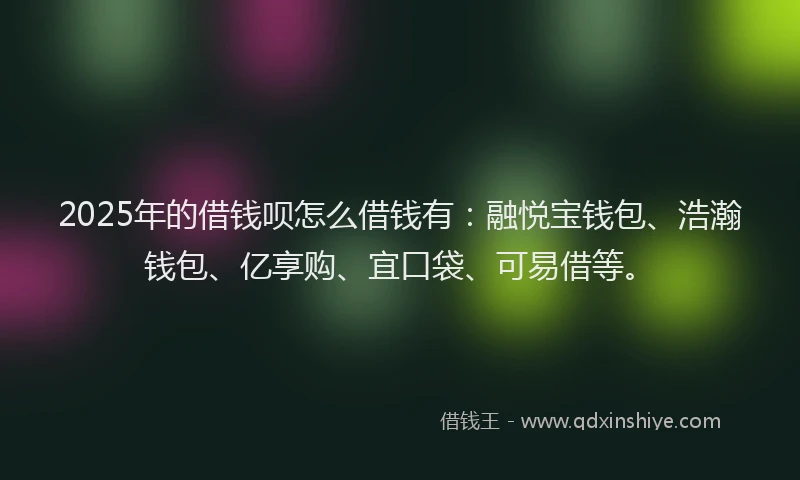 2025年的借钱呗怎么借钱有：融悦宝钱包、浩瀚钱包、亿享购、宜口袋、可易借等。