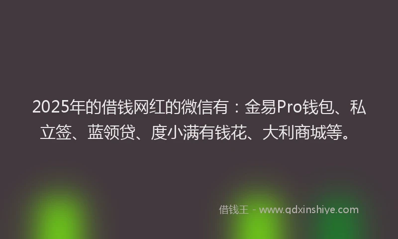 2025年的借钱网红的微信有：金易Pro钱包、私立签、蓝领贷、度小满有钱花、大利商城等。