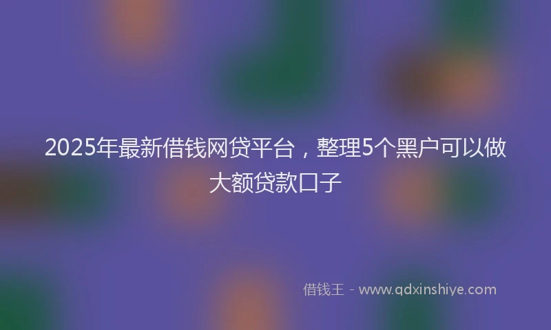 2025年最新借钱网贷平台，整理5个黑户可以做大额贷款口子
