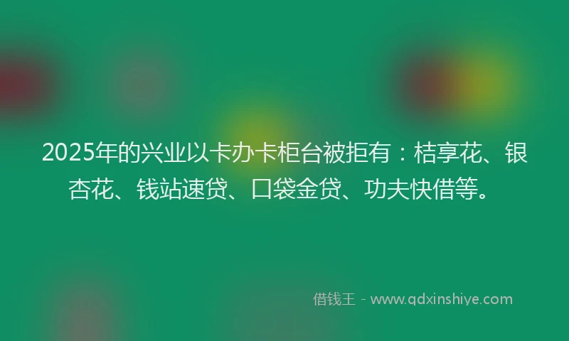 2025年的兴业以卡办卡柜台被拒有：桔享花、银杏花、钱站速贷、口袋金贷、功夫快借等。