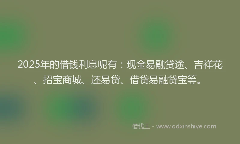 2025年的借钱利息呢有：现金易融贷途、吉祥花、招宝商城、还易贷、借贷易融贷宝等。
