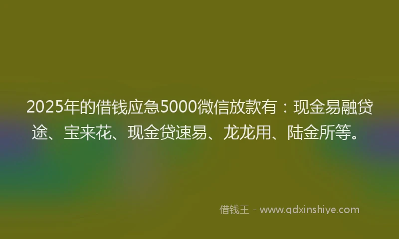2025年的借钱应急5000微信放款有：现金易融贷途、宝来花、现金贷速易、龙龙用、陆金所等。