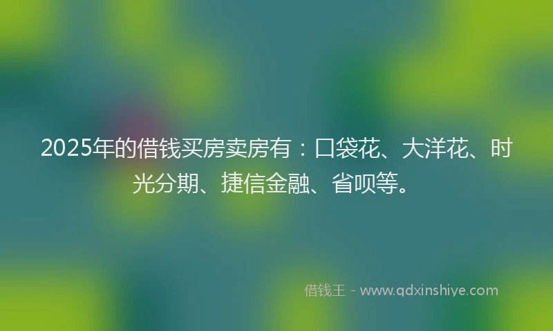 2025年的借钱买房卖房有：口袋花、大洋花、时光分期、捷信金融、省呗等。