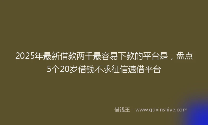2025年最新借款两千最容易下款的平台是，盘点5个20岁借钱不求征信速借平台