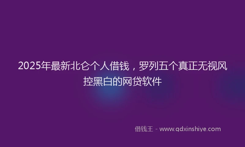 2025年最新北仑个人借钱，罗列五个真正无视风控黑白的网贷软件