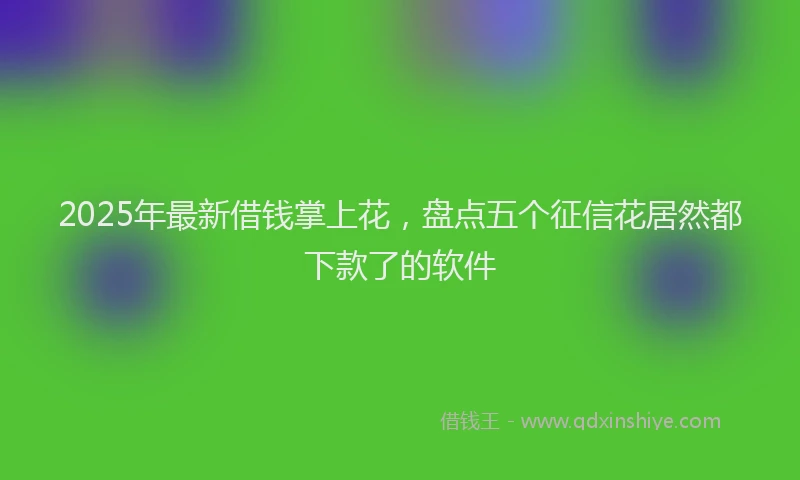 2025年最新借钱掌上花，盘点五个征信花居然都下款了的软件
